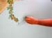 arturomural103