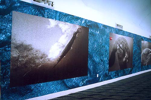 image06
