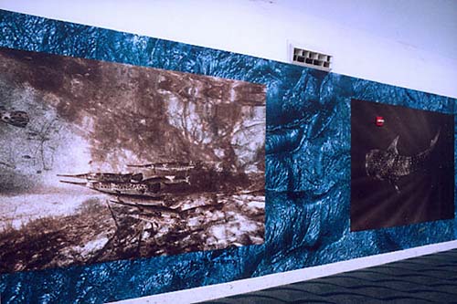 image10