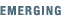Emerging Artists