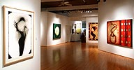 Miami Art Gallery Recent Exhibition