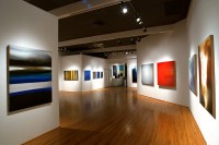 IMPACT: Emotions of Color