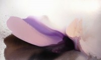 Bassmi, Isness 19, Mixed Media on Canvas, 36 x 60 inches, 2005