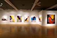 Color, Form, Space: Three Abstract Artists