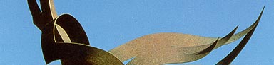 John Raimondi