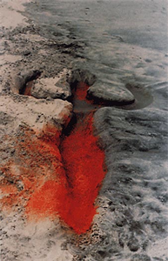 Ana Mendieta