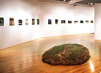 Ana Mendieta