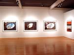 Gallery04