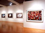 Gallery06