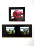 Gallery20