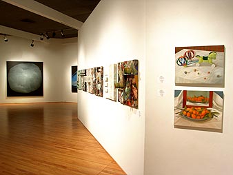 Gallery Installation
