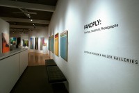 Panoply: Paintings, Photographs and Sculpture